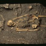 Neanderthals in Europe and the Persistence of Homo erectus